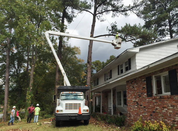 Best Utility Line Clearance  in West Kennebunk, ME