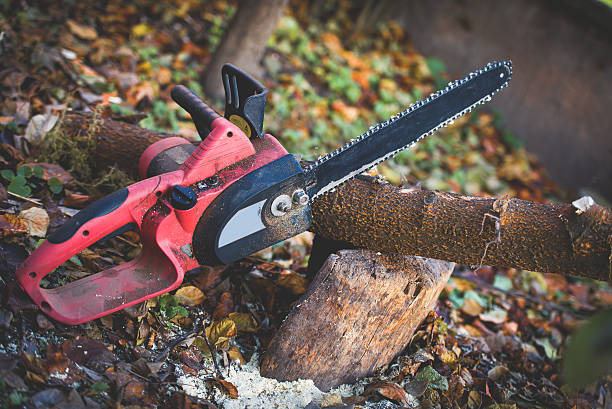 Best Commercial Tree Services  in West Kennebunk, ME